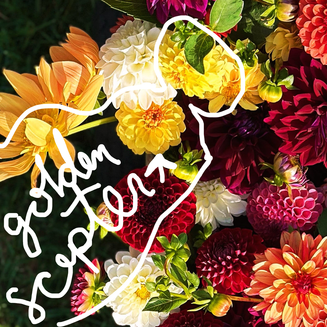 Golden Scepter